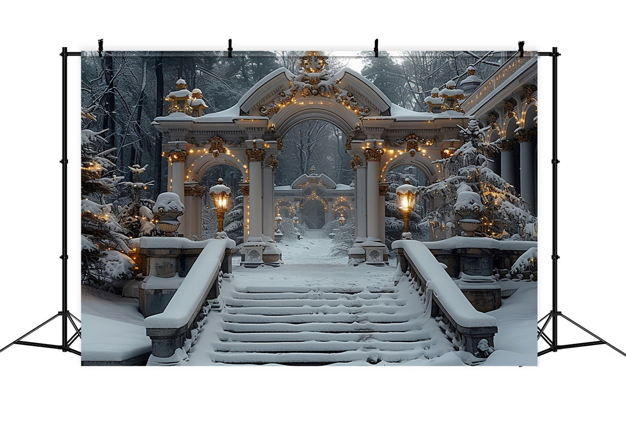 Toile de fond Arches du pays des merveilles hivernal avec lumières de Noël BRP9-113