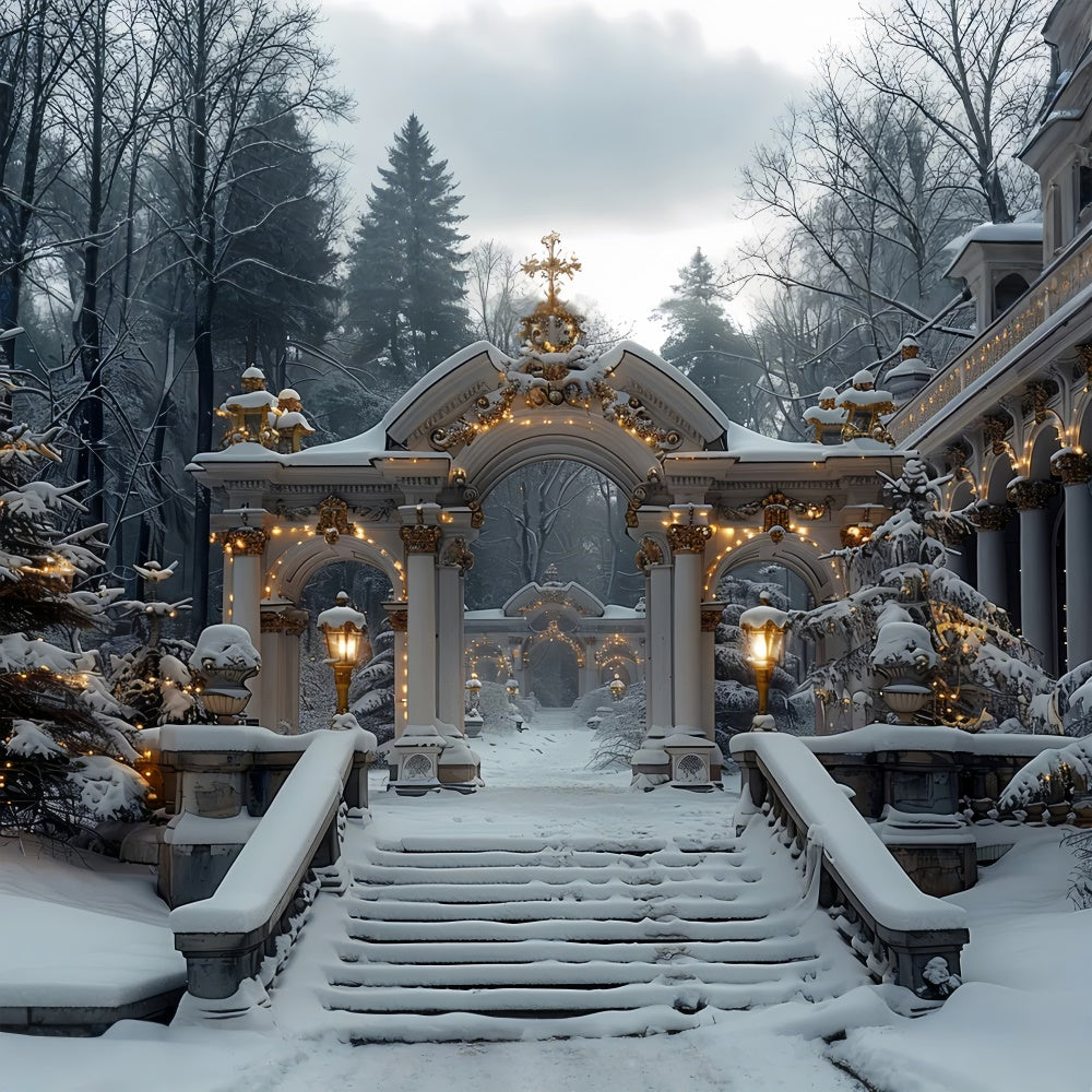 Toile de fond Arches du pays des merveilles hivernal avec lumières de Noël BRP9-113