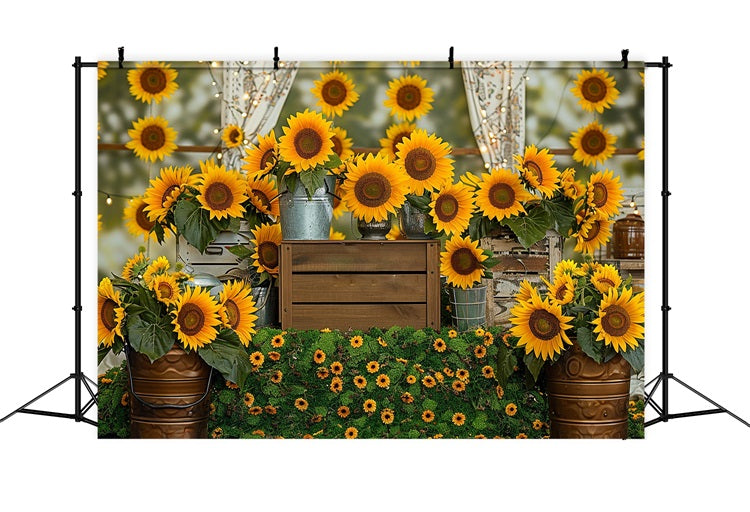 Toile de Fond Caisse en Bois Rustique Tournesol Vibrant d'Automne BRP9-128