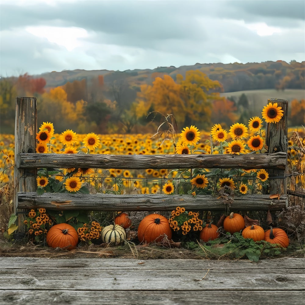 Toile de Fond Tournesols d'Automne Dorés Citrouilles Clôture BRP9-187