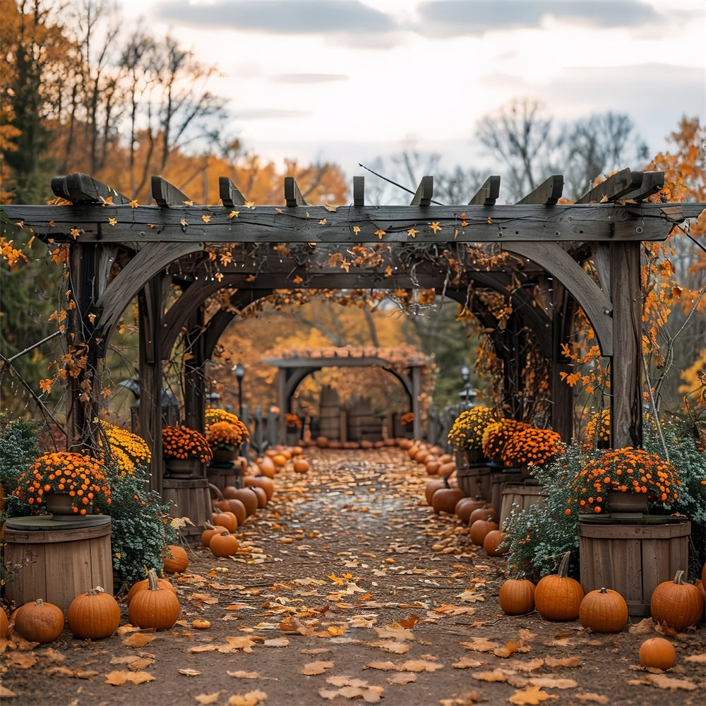 Toile de Fond Allée d'Automne Citrouilles Arches Fleurissantes BRP9-190