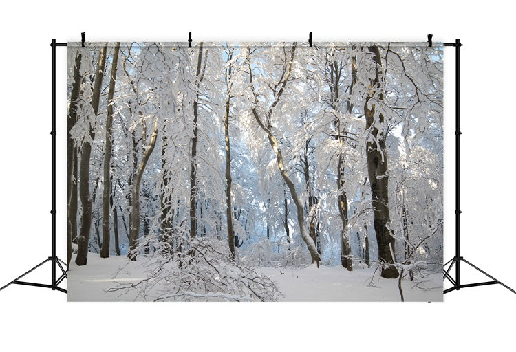 Toile de fond Forêt enneigée Merveille d'hiver Photographie BRP9-220