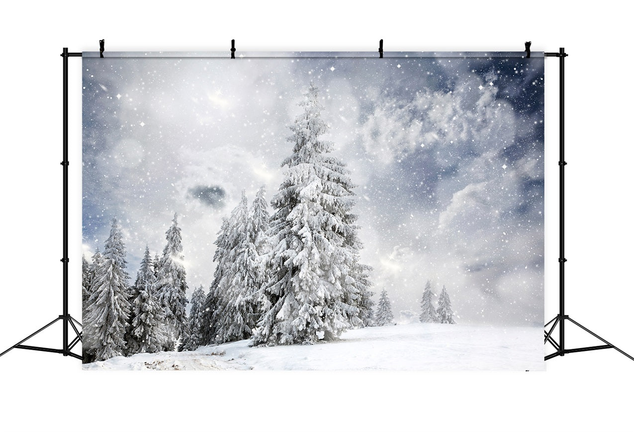 Toile de fond Forêt hivernale sous ciel étoilé BRP9-224