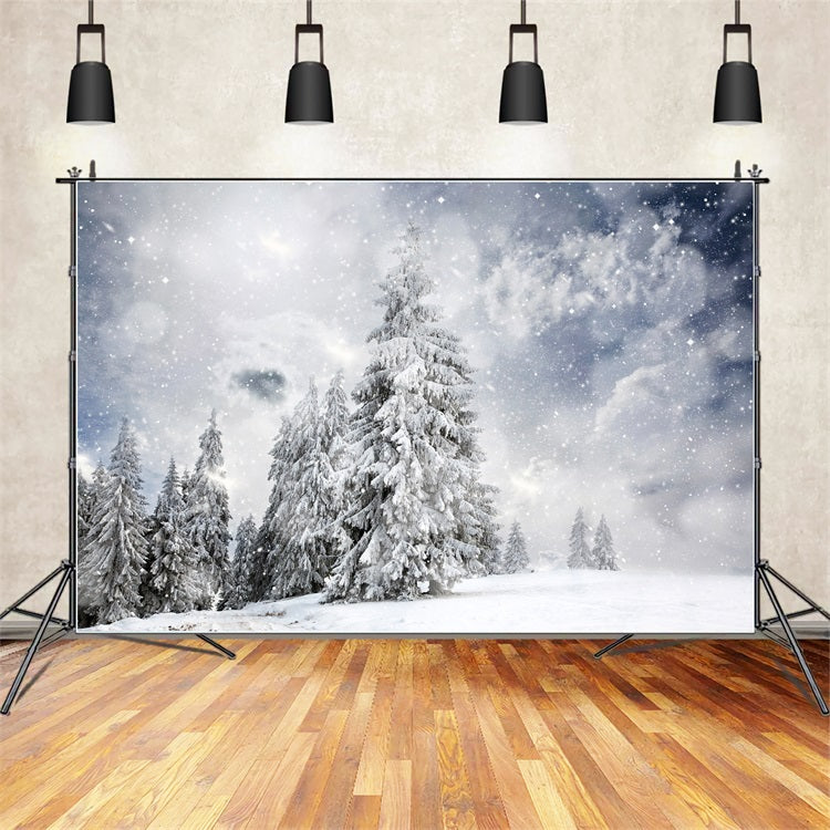 Toile de fond Forêt hivernale sous ciel étoilé BRP9-224