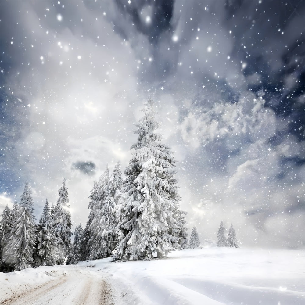 Toile de fond Forêt hivernale sous ciel étoilé BRP9-224