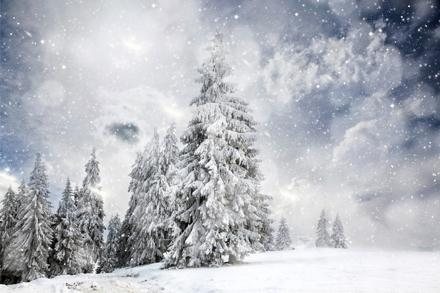 Toile de fond Forêt hivernale sous ciel étoilé BRP9-224