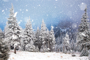 Toile De Fond Hiver Neige 600x300 Cm – Forêt De Pins, Montagne Enneigée – Vinyle, Pour Photo, Décoration Noël
