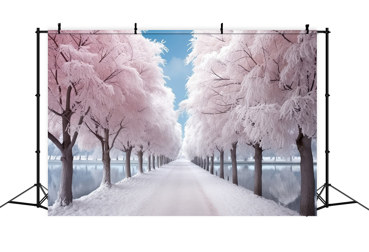 Toile de fond Chemin rose givré Hiver Photographie BRP9-277