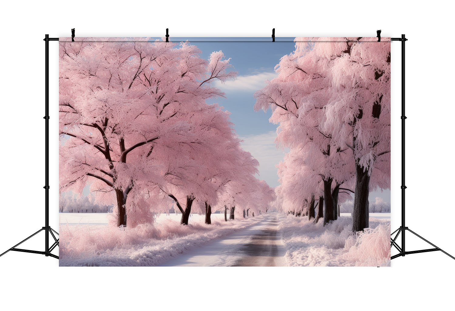 Toile de fond Route paysage hivernal rose givré BRP9-278