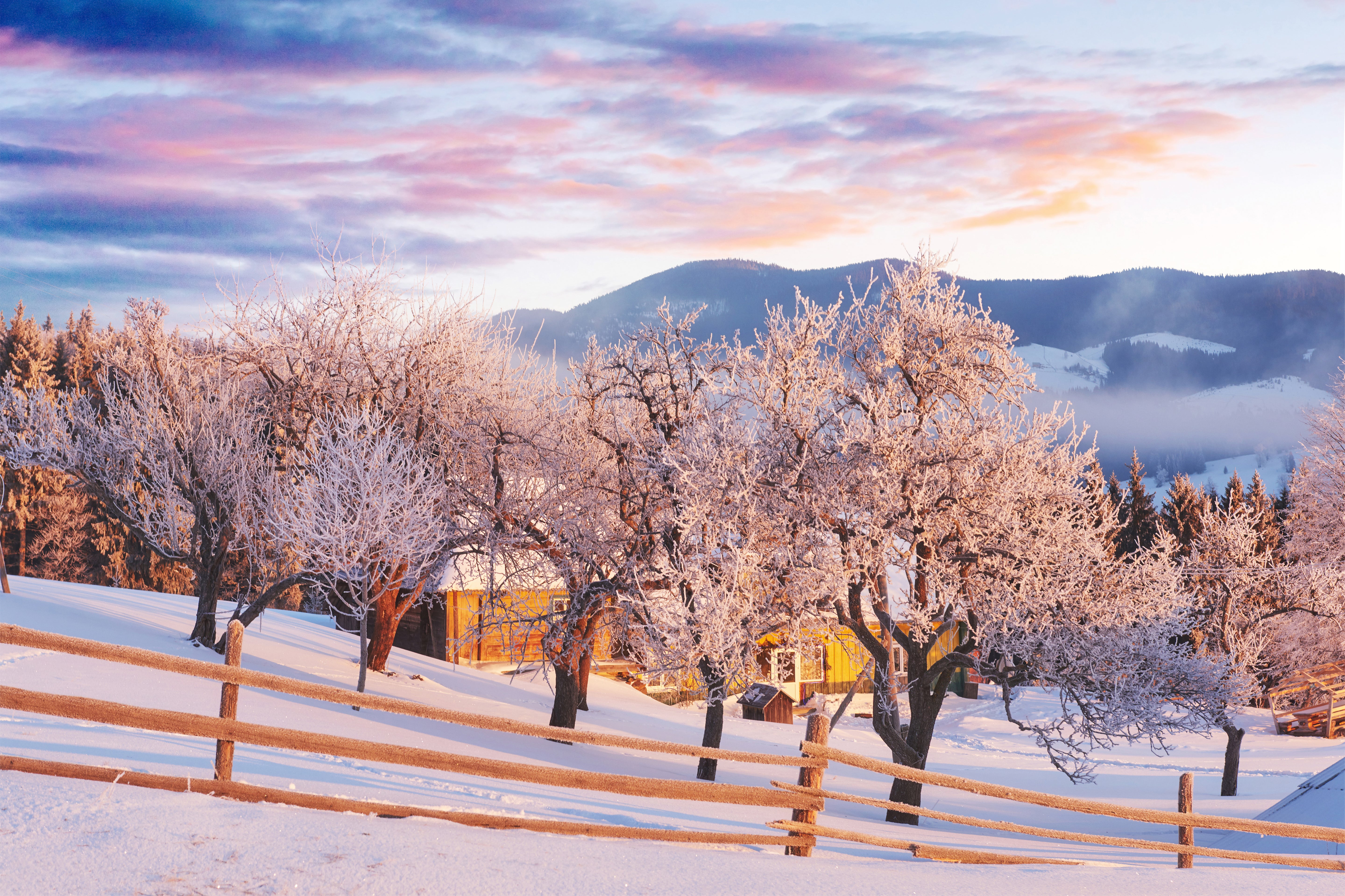 Toile de fond Ciel rose Ferme hivernale Photographie BRP9-282