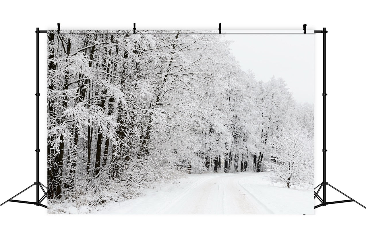 Toile de fond Chemin enneigé à travers forêt Merveille d'hiver BRP9-325