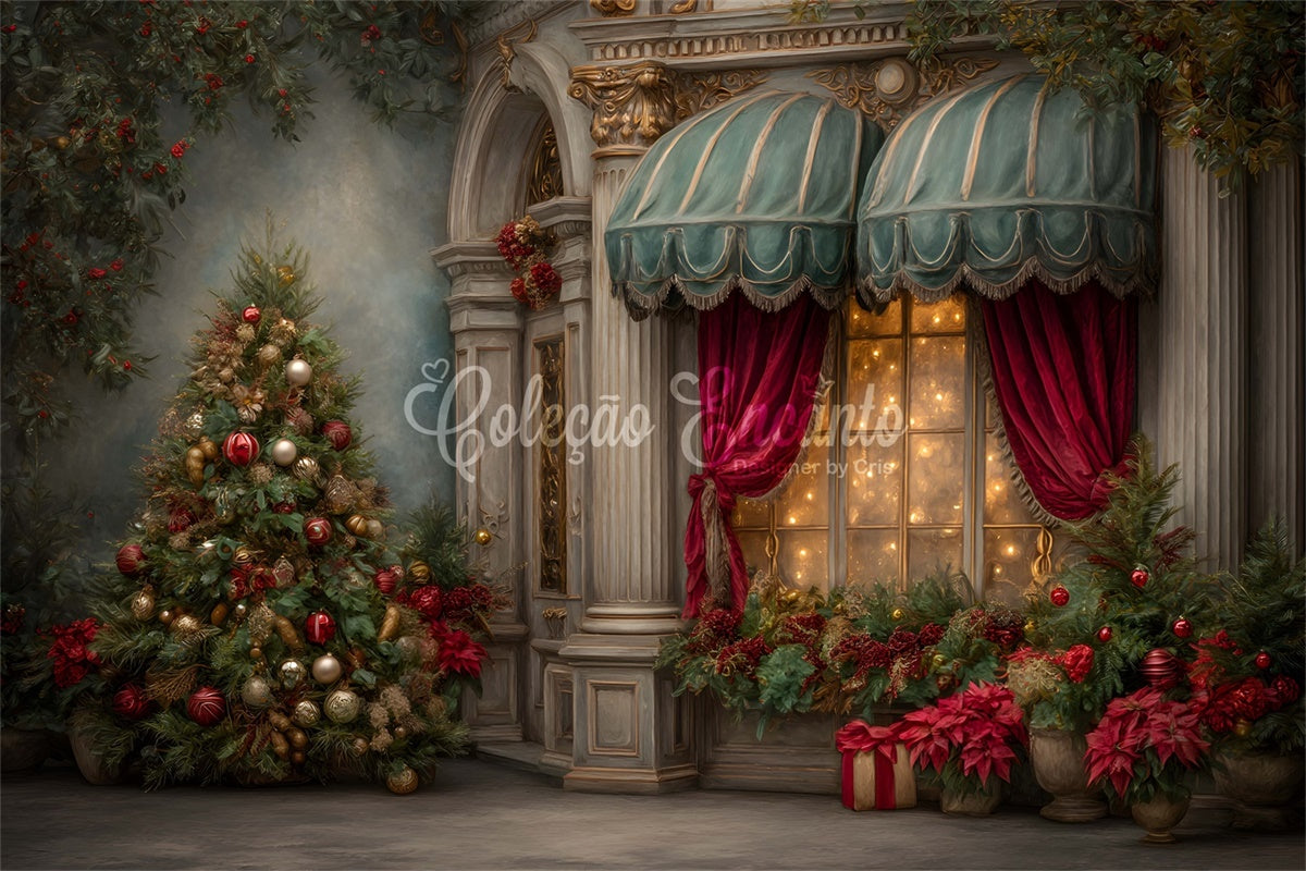 Toile de fond Noël Entrée Palais Classique par Magali