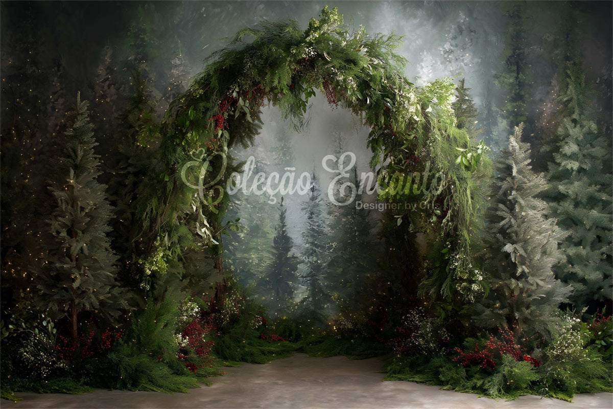 Toile de fond Photo Noël Forêt Enchantée Arche par Magali