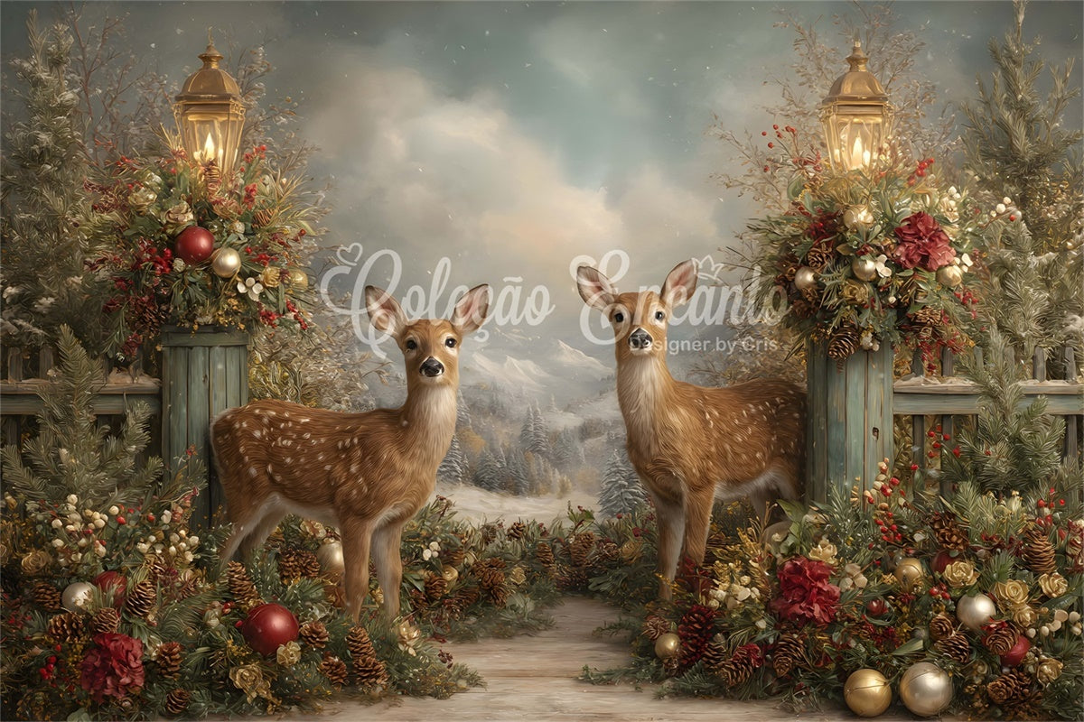 Toile de fond Noël Forêt de Rennes Lanterne par Magali