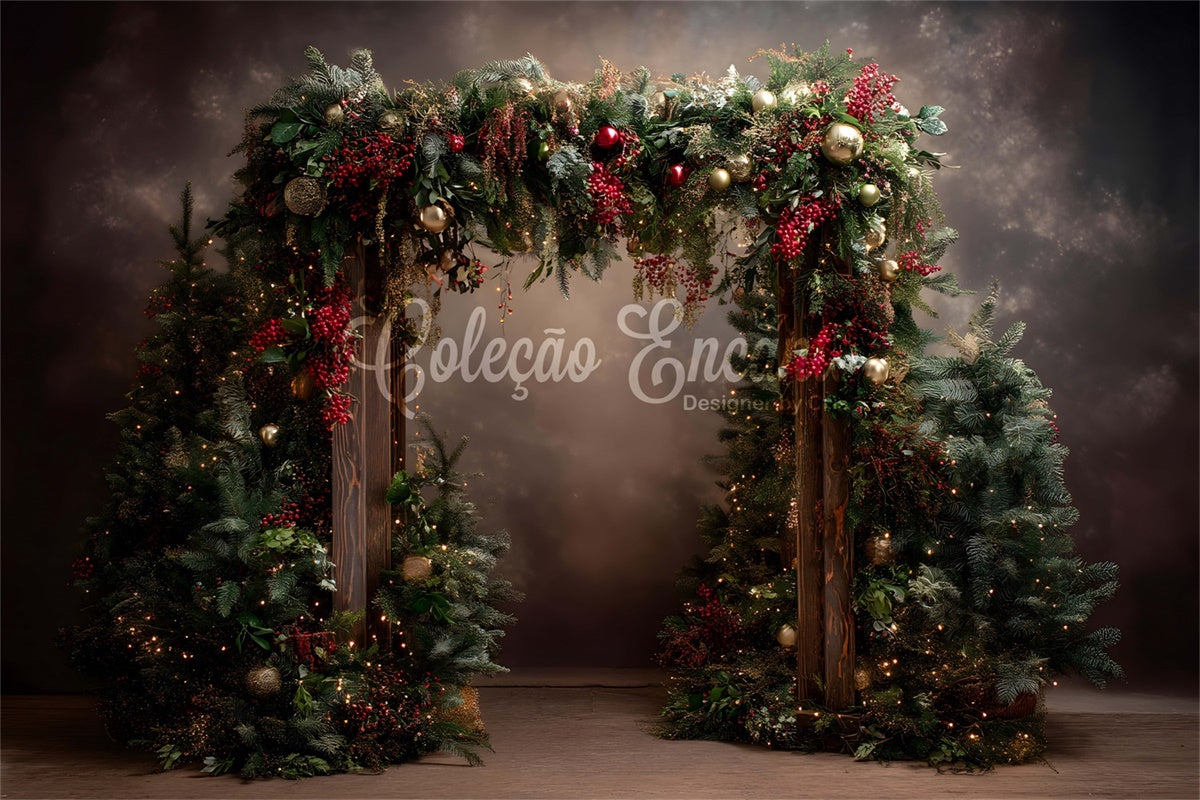 Toile de fond Photo Noël Arche Élégante de Noël par Magali