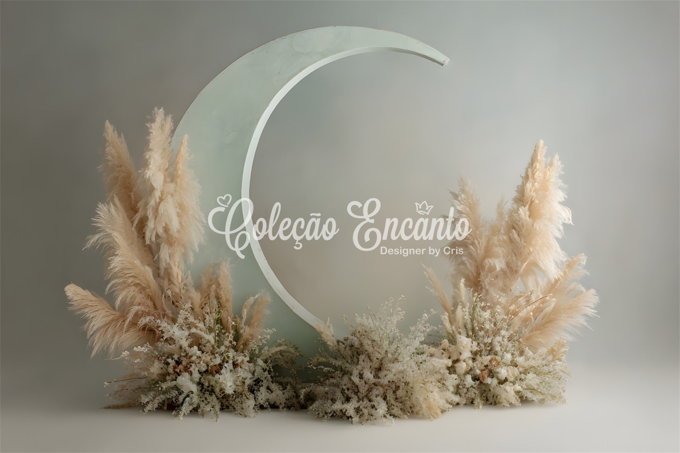 Fond Studio Fête des Mères Arche Lune Pampas Élégante Par Magali