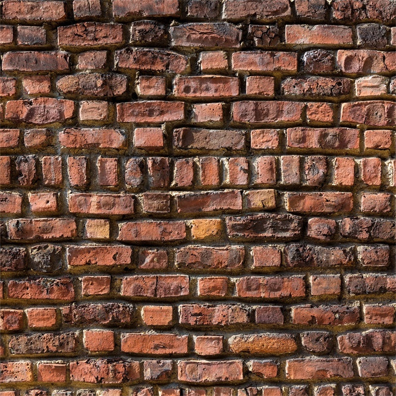 Toile de fond Mur Brique Patrimoine Rouge CJJ3-3