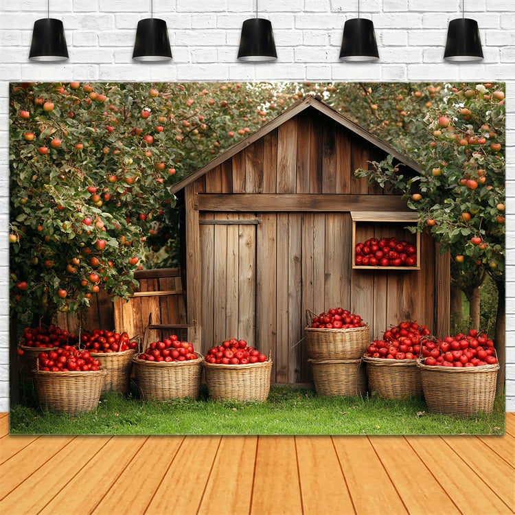 Toile de fond Grange en Bois Récolte de Pommes CSH4-225