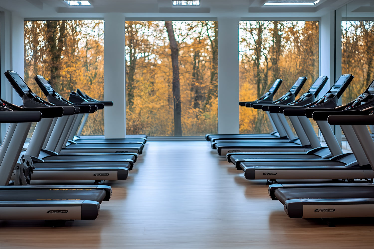 Toile de fond Photographie Sport Salle de Gym Tapis Roulant CSH4-379