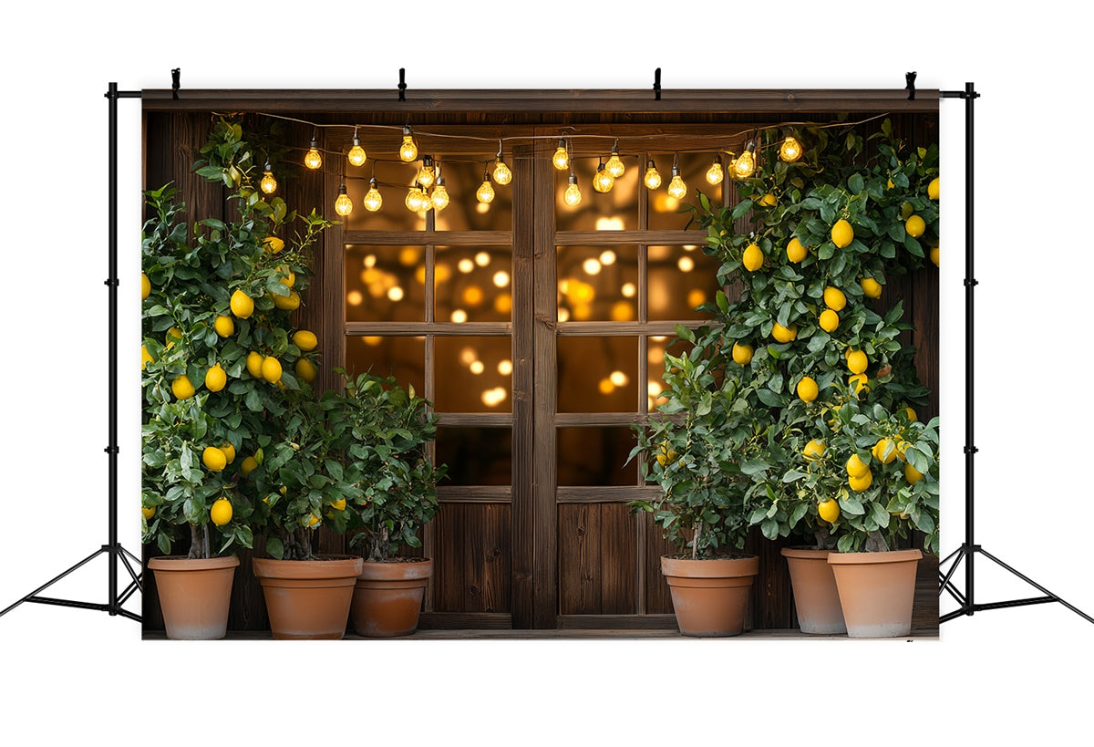 Toile de fond Citrons Arbre à Citrons Lumières Été CSH5-123