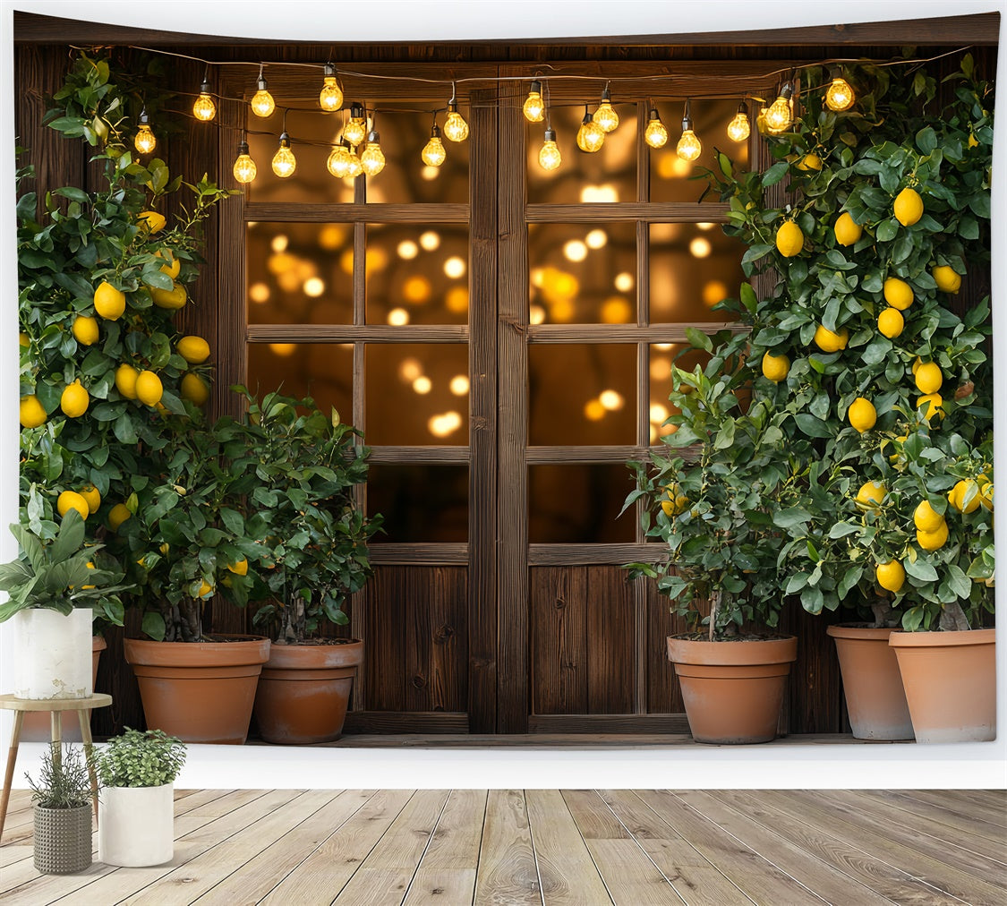 Toile de fond Citrons Arbre à Citrons Lumières Été CSH5-123