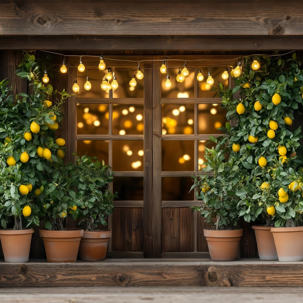 Toile de fond Citrons Arbre à Citrons Lumières Été CSH5-123