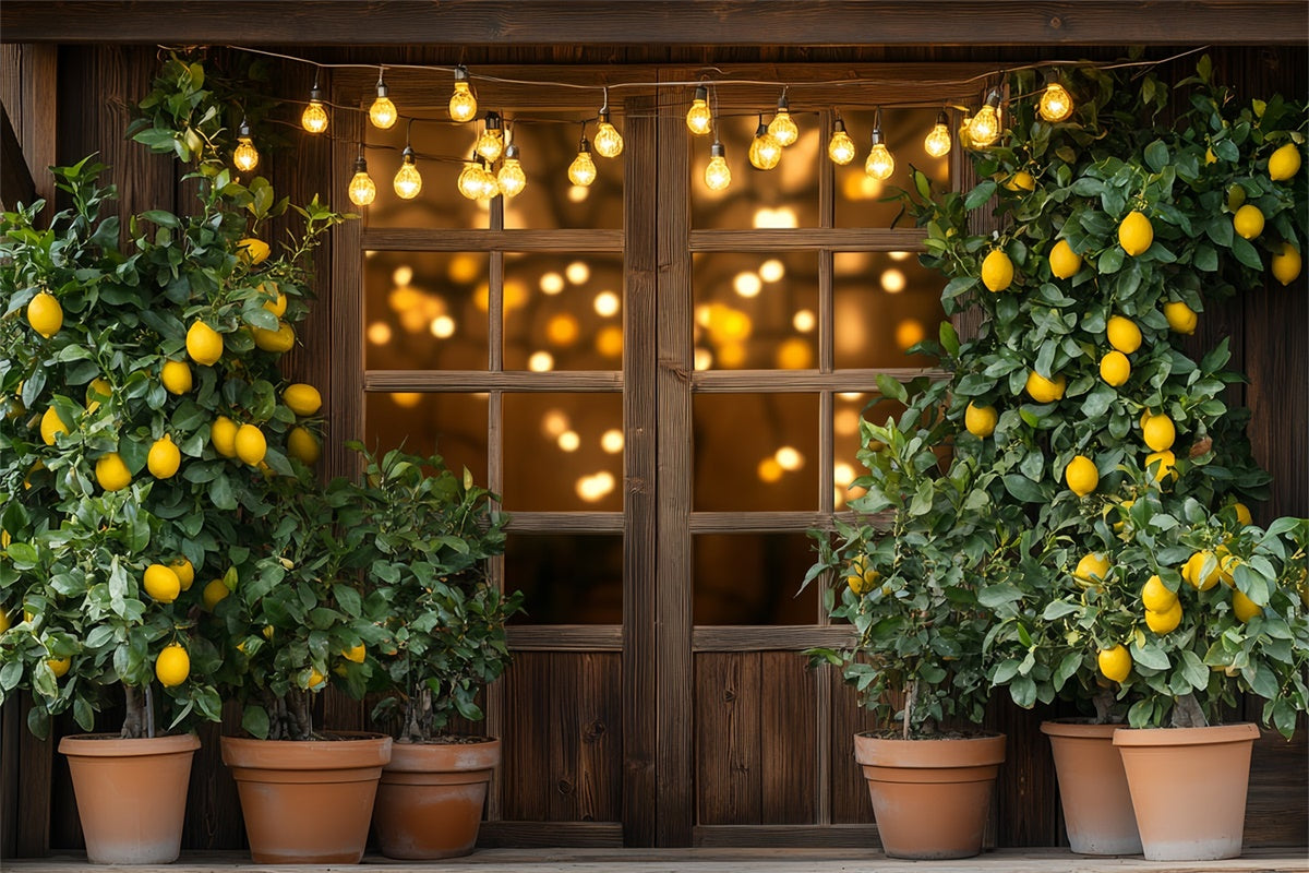 Toile de fond Citrons Arbre à Citrons Lumières Été CSH5-123