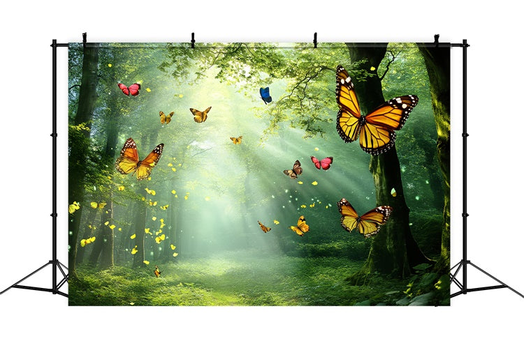Toile de fond Papillons Forêt Lumière Dorée Été CSH5-72
