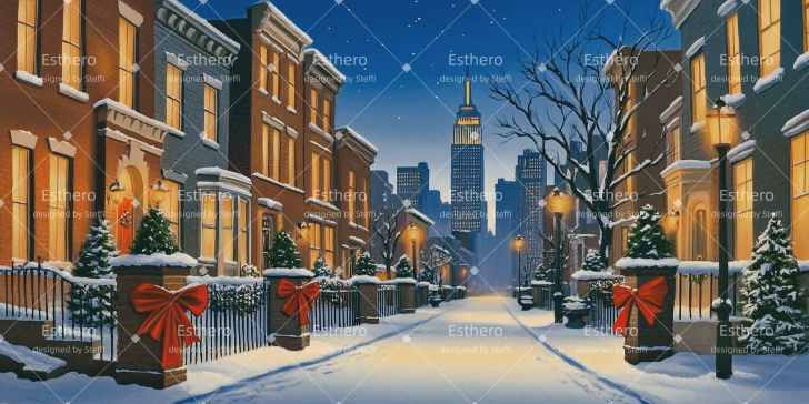 Fond de Scène Personnalisé New York à Noël CSH510-T38