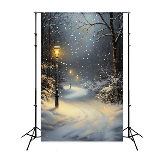 Toile de fond Forêt Hiver Chemin Lanterne Neige CSH57-151