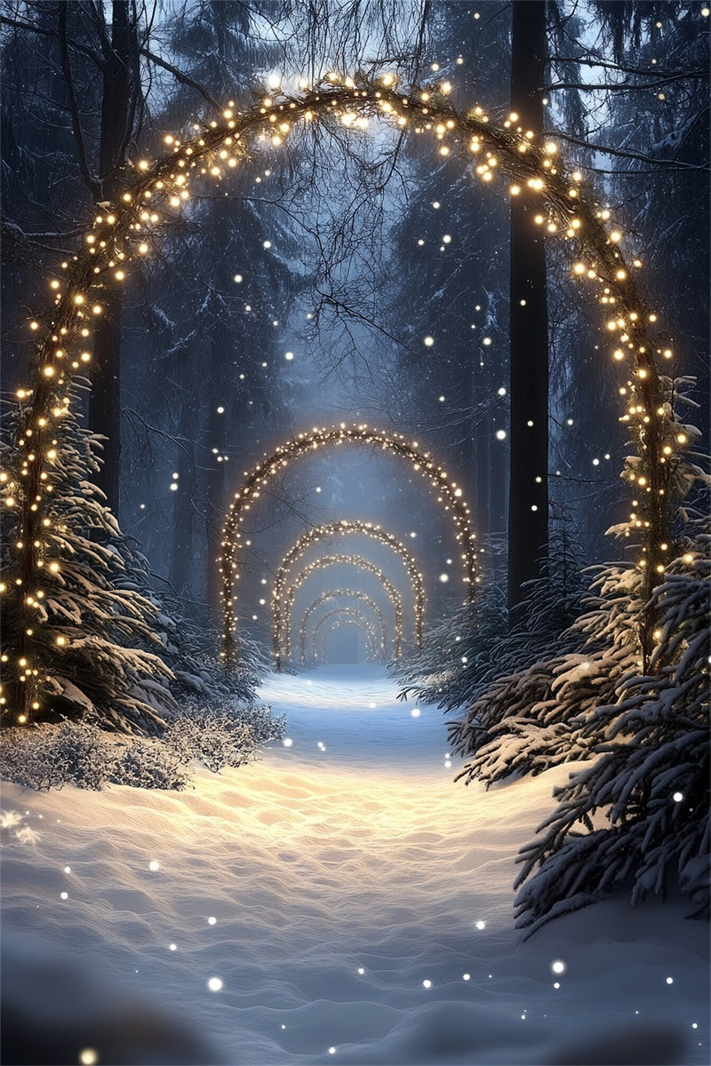 Toile de fond Forêt Neige Sentier Illuminé Enchanté CSH57-152
