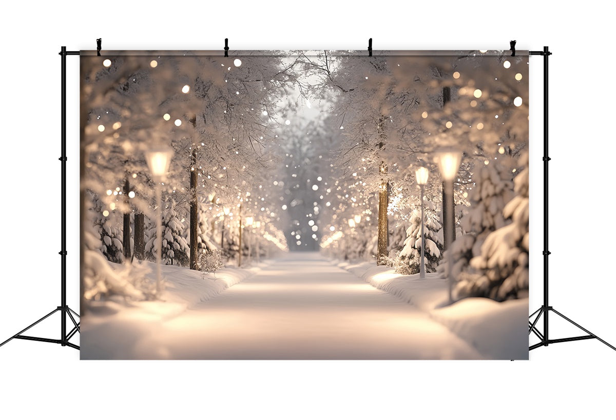 Toile de fond Forêt Enneigée Merveille Lumières Hiver CSH57-154