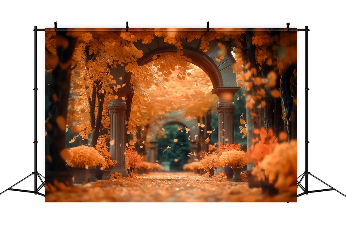 Toile de fond Forêt Automne Passage Érable Coucher Soleil CSH57-157