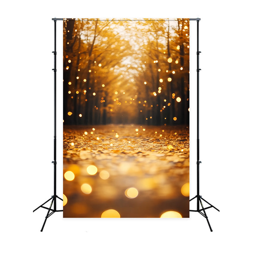 Toile de fond Automne Forêt Feuilles Radiance Chemin CSH57-181