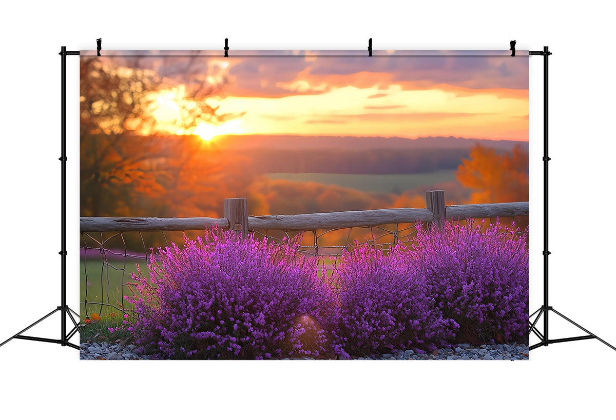 Toile de fond Photo Automne Horizon Fleurs Violettes Coucher Soleil CSH57-200