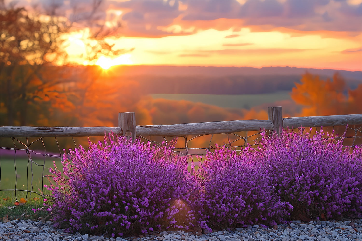 Toile de fond Photo Automne Horizon Fleurs Violettes Coucher Soleil CSH57-200