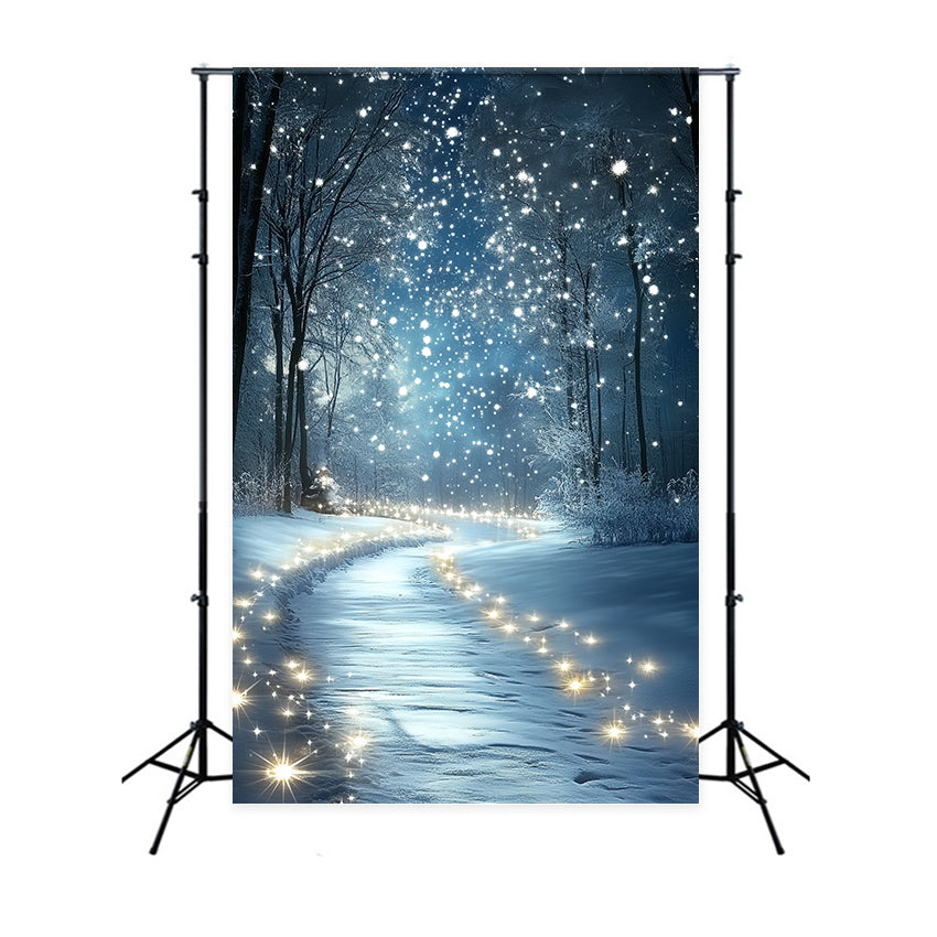 Toile de fond Hiver Pays des Merveilles Neige Étincelante de Minuit CSH57-201