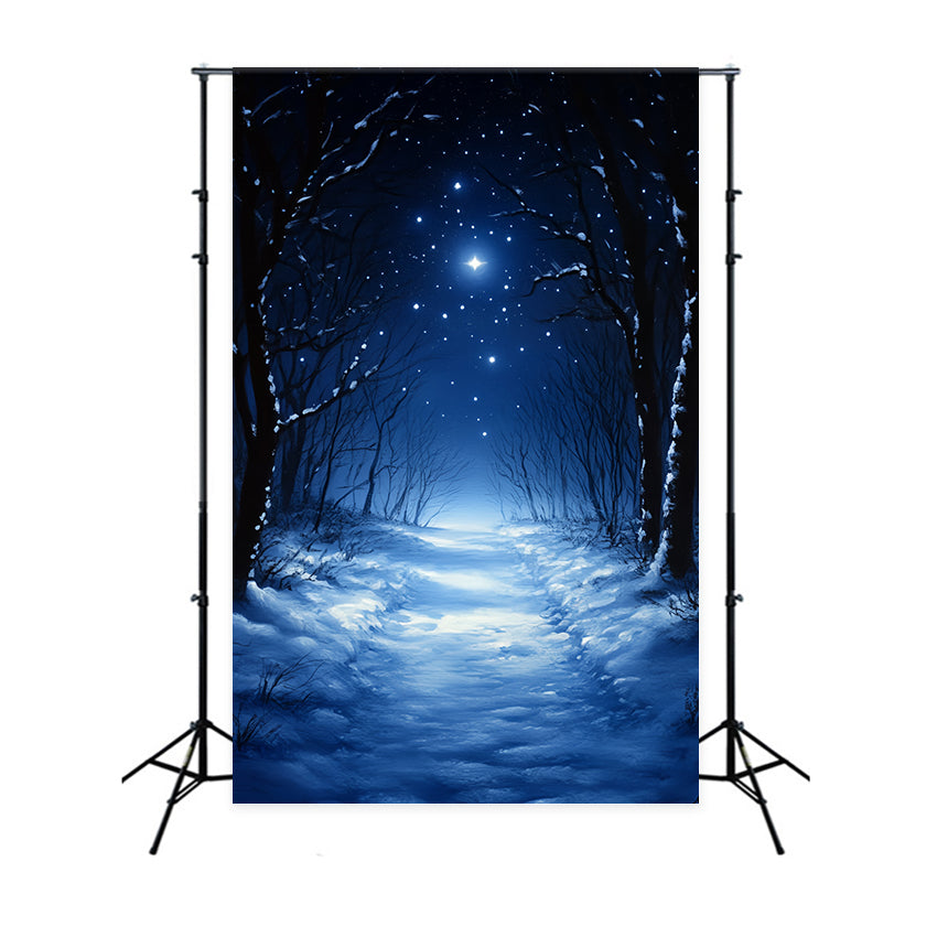 Toile de fond Hiver Forêt Silencieuse de Minuit CSH57-202
