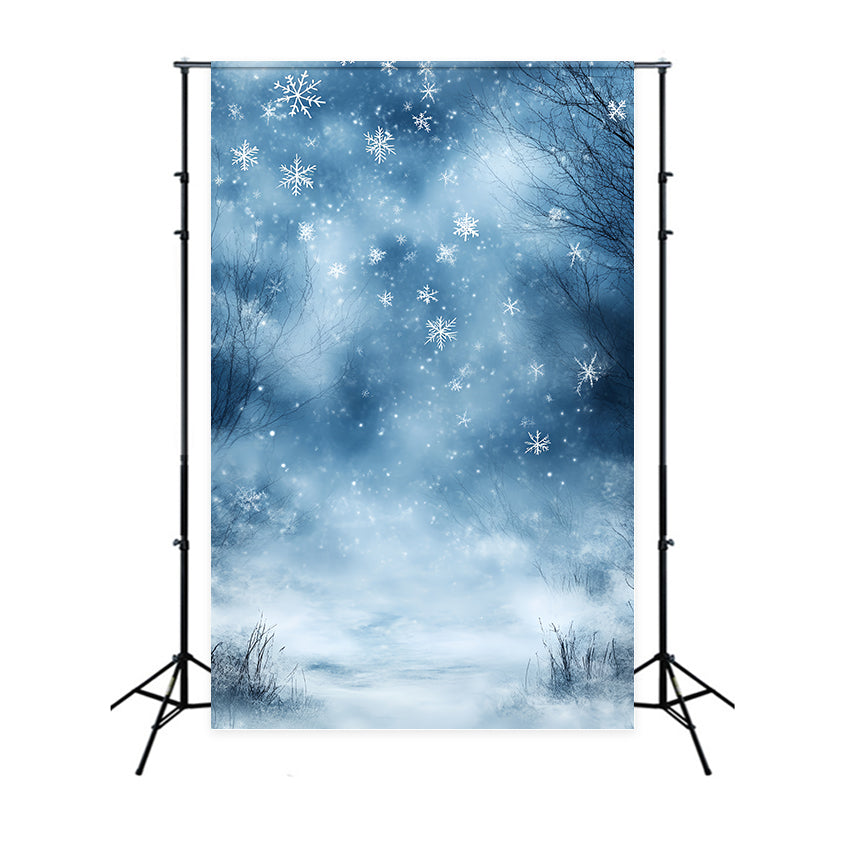 Toile de fond Hiver Brise Bleue de Rêve CSH57-204