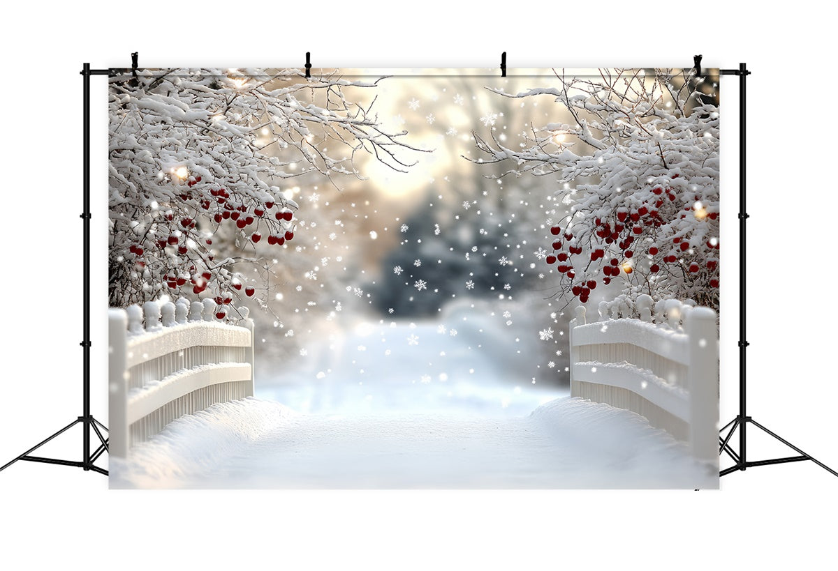 Toile de fond Hiver Pont de Baies sous la Neige CSH57-216