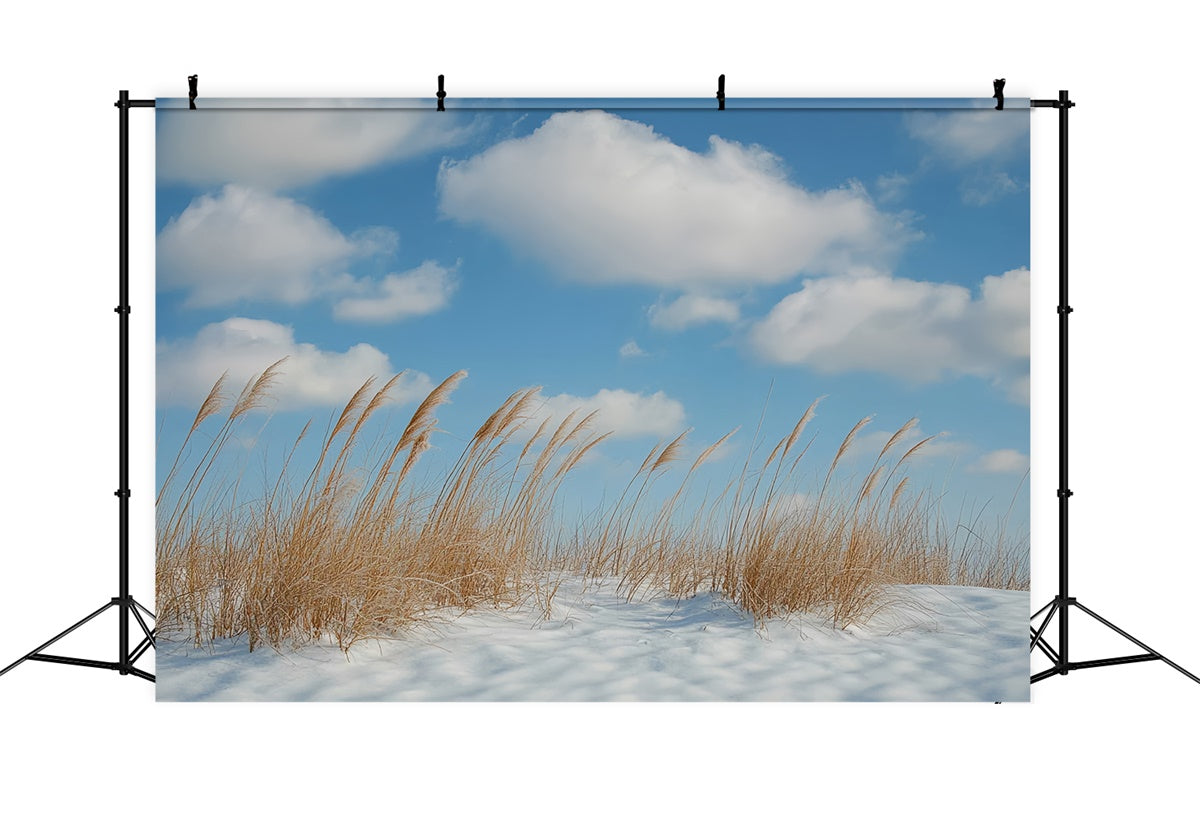 Toile de fond Hiver Brise de Prairie et Ciel Bleu CSH57-222