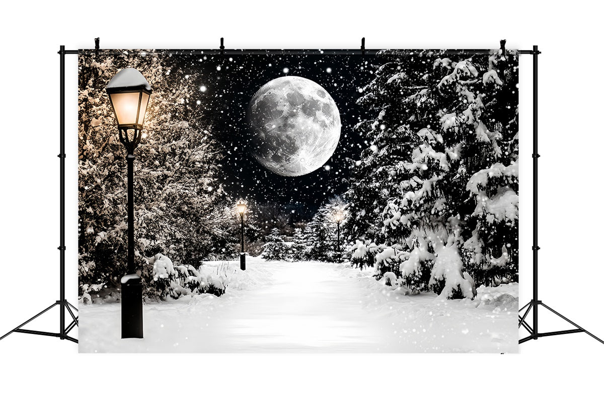 Toile de fond Hiver Sentier de Neige Nocturne CSH57-223
