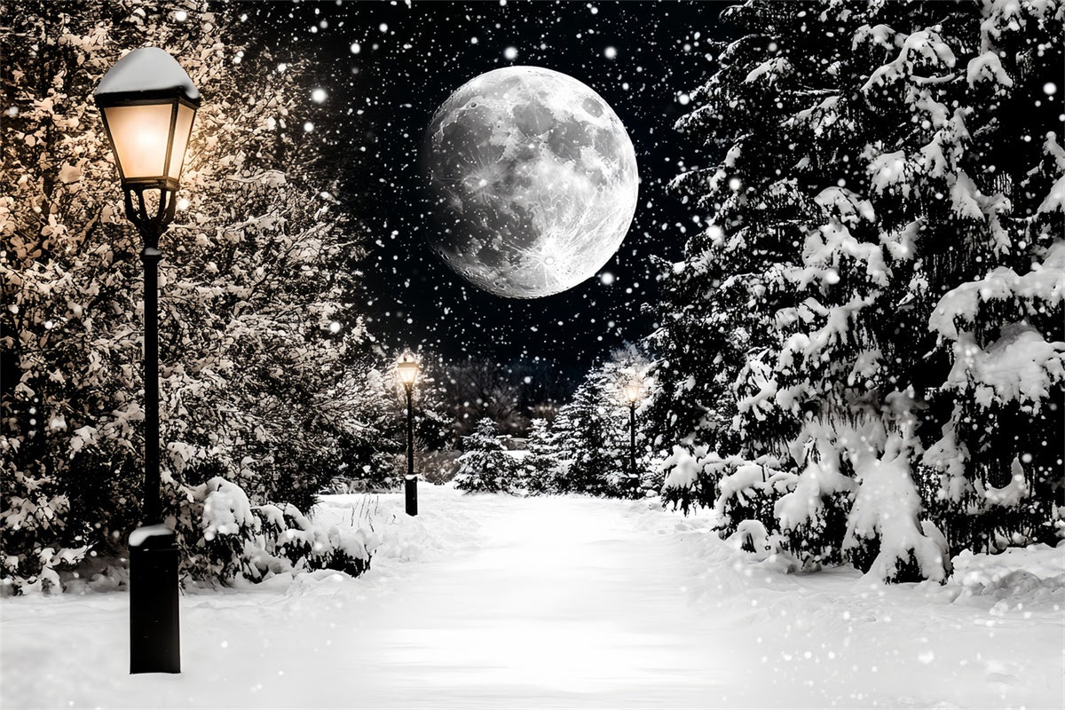 Toile de fond Hiver Sentier de Neige Nocturne CSH57-223
