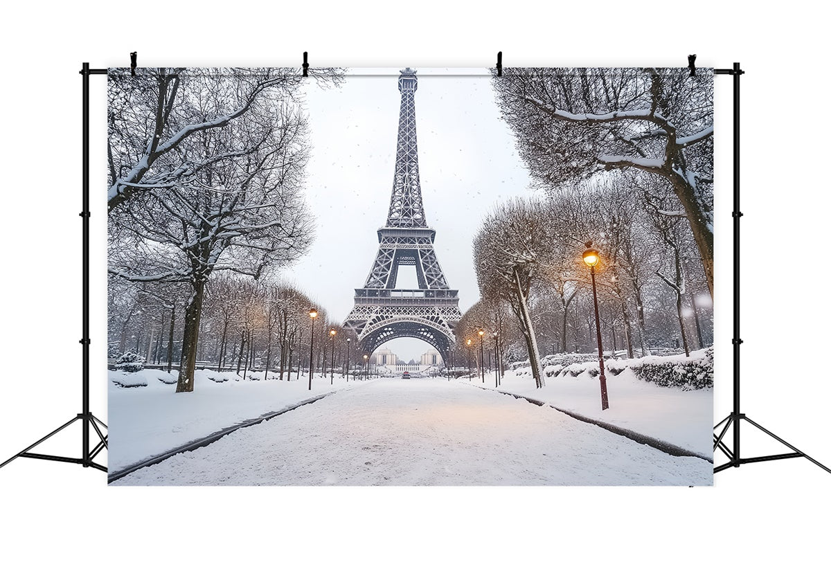 Toile de fond Hiver Élégance Hivernale de la Tour Eiffel CSH57-230