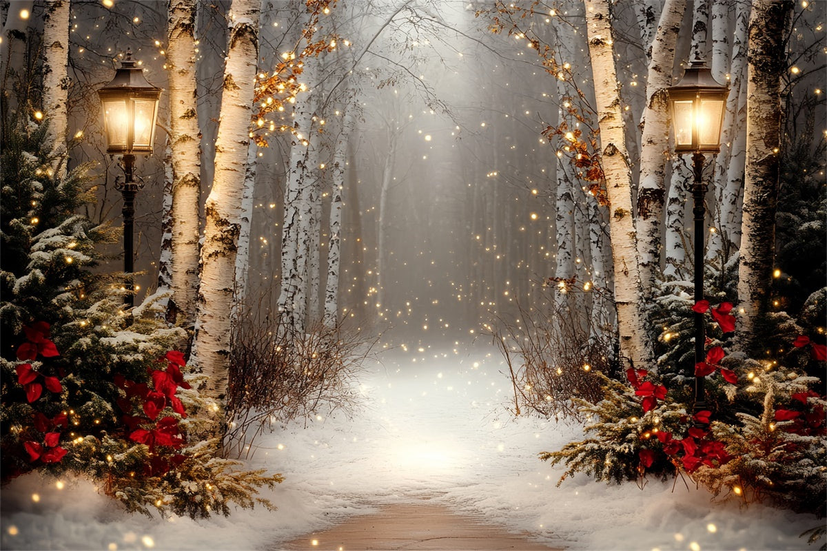 Toile de fond Hiver Crépuscule de Fête en Forêt de Bouleaux CSH57-237