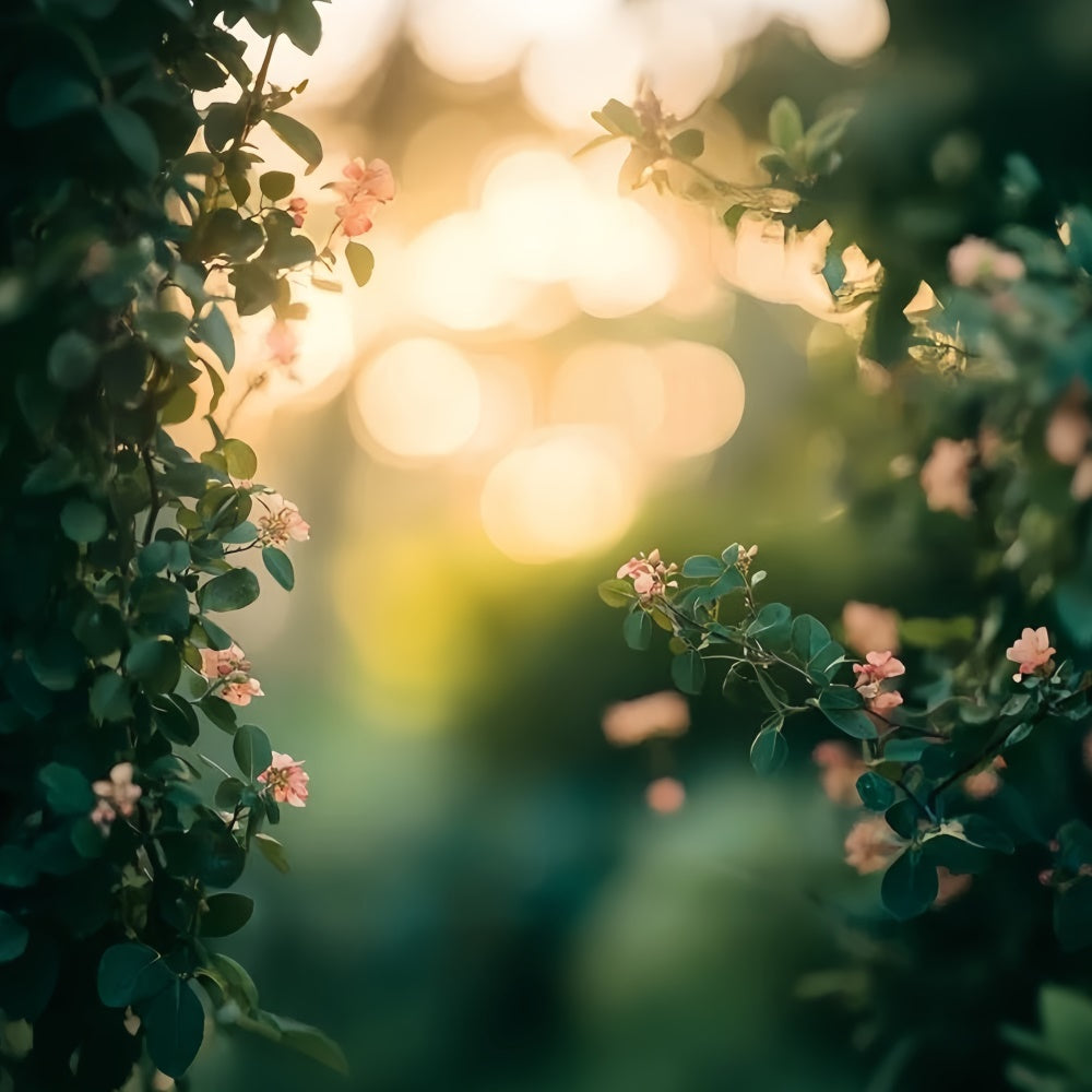 Toile de Fond Photo de Tête Jardin Fleuri au Coucher du Soleil CSH57-3