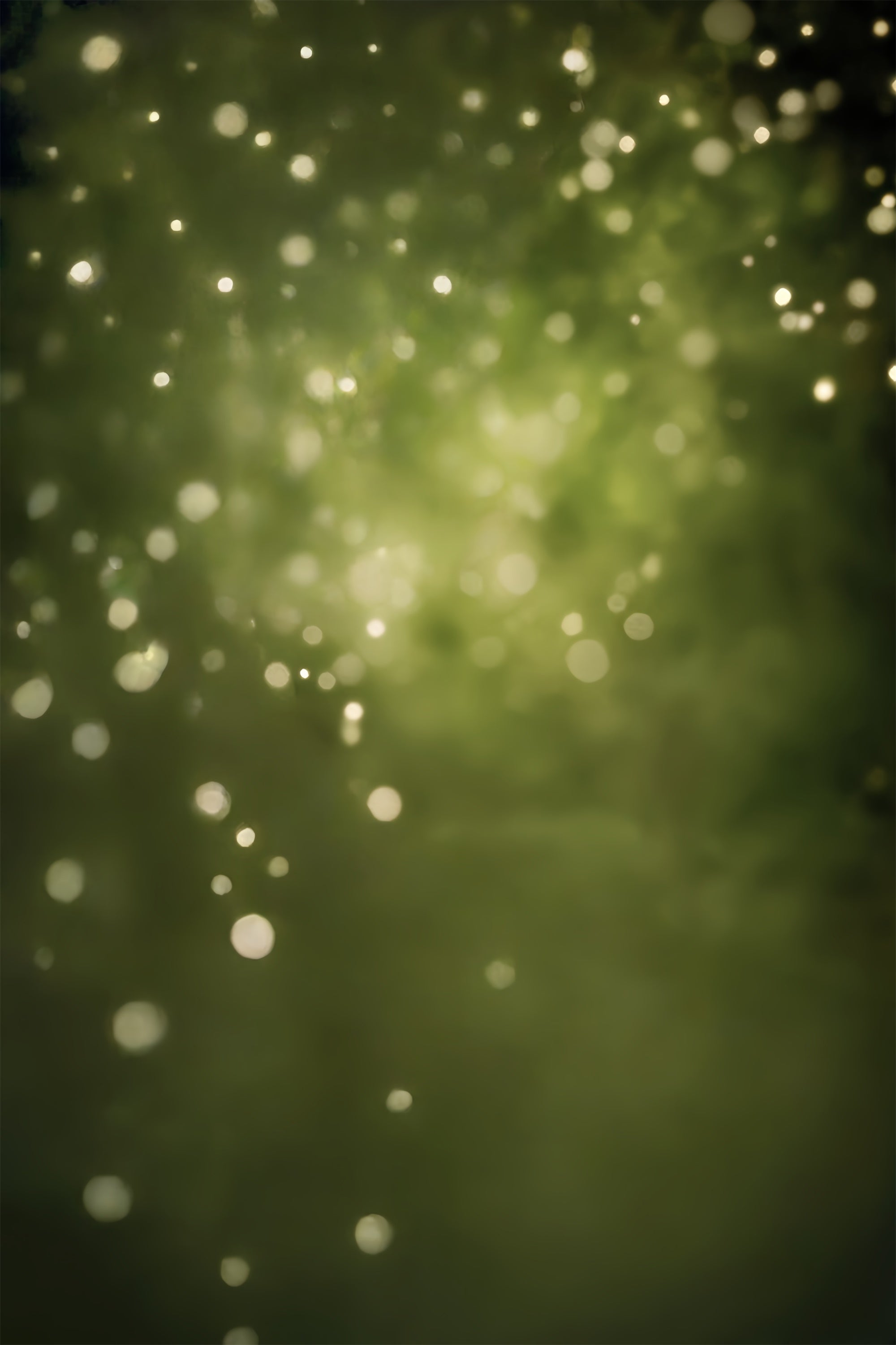 Toile de Fond Verte Olive Brume Forestière Bokeh CSH57-30