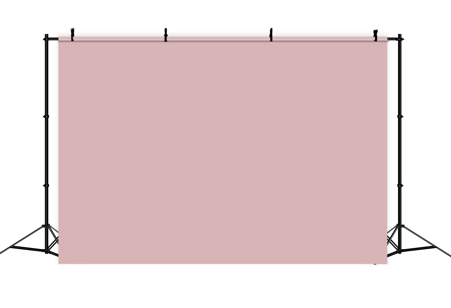 Toile de fond Photographie Rose Murmure Rose Ballet CSH57-314
