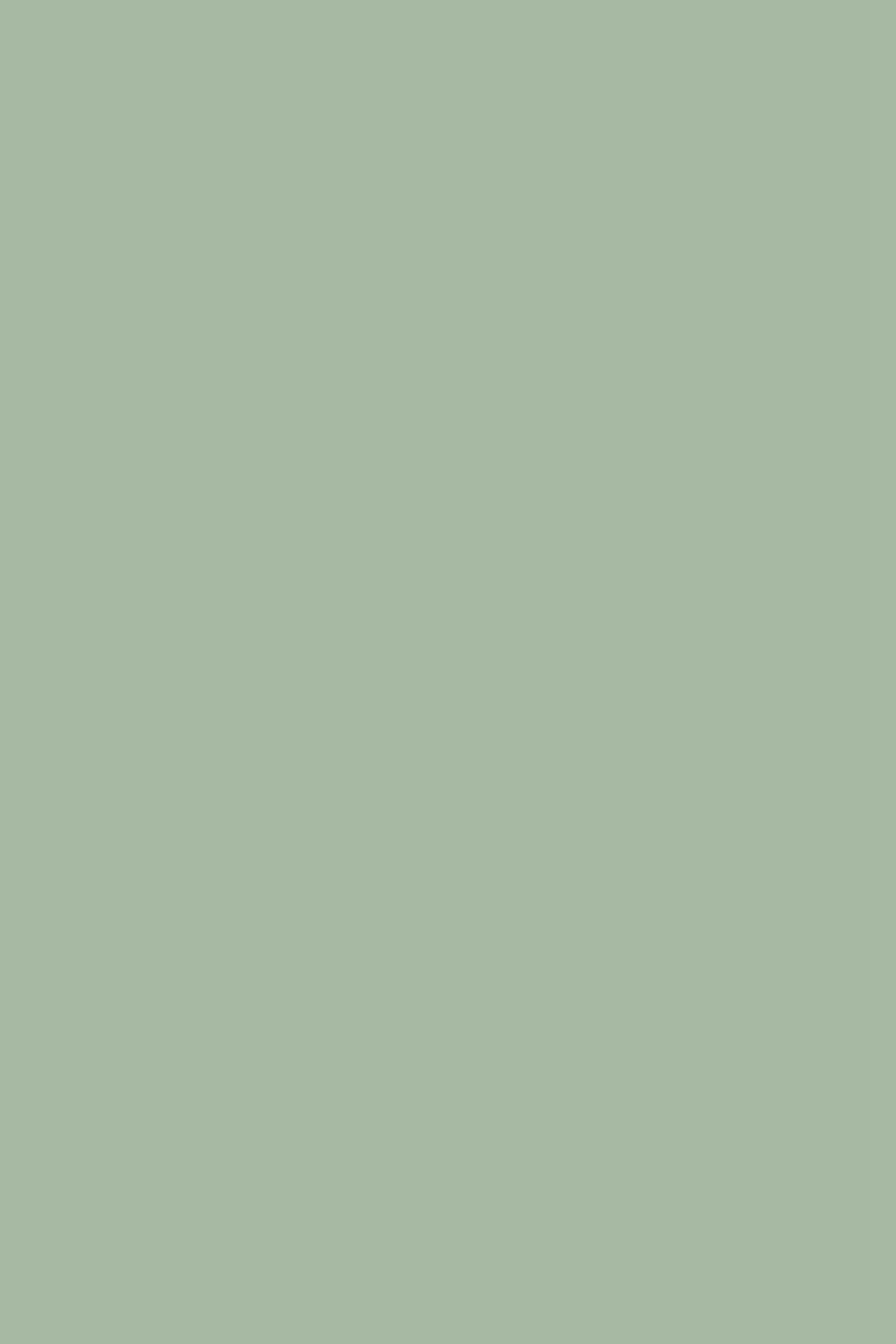 Toile de fond Vert Clair Brume de Sauge Fraîche CSH57-325