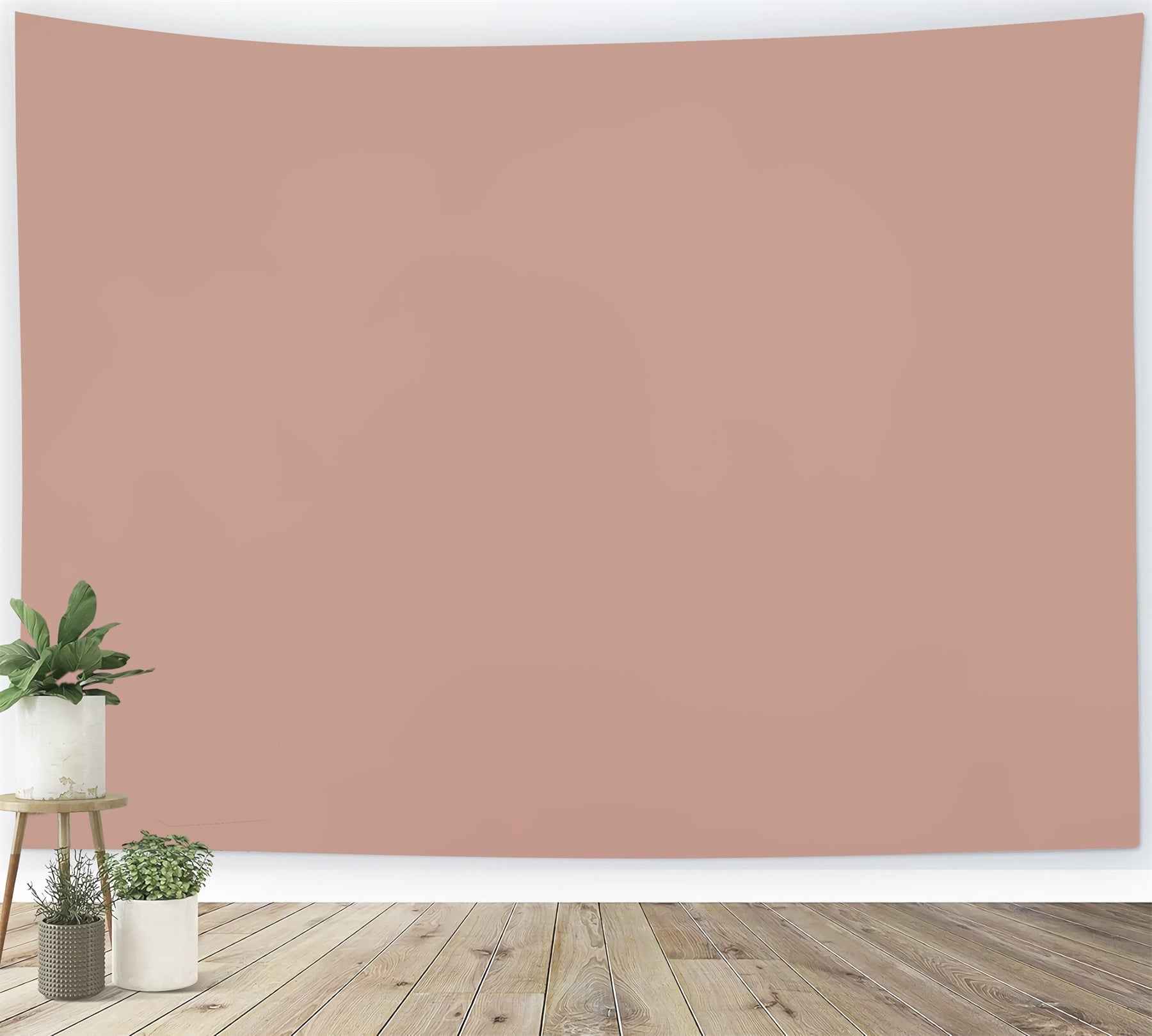 Toile de Fond Photo Rose Rose Pastel Minimaliste CSH57-41
